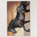 Search for beautiful horse puzzles Animal