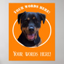 Search for all over posters Dog