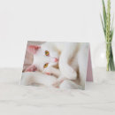 Search for pussycat cards Feline