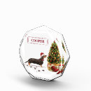 Search for weiner dog christmas decor Funny