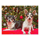 Search for christmas tree lights posters Animal