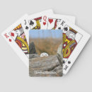 Recherche de hibou jeux de cartes Oiseau