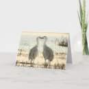 Search for migration cards Bird