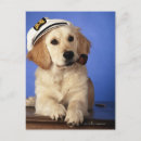 Recherche de fumer cartes postales Humour
