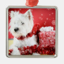 Recherche de westie ornements Chiot