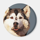 Search for poly magnets Design