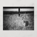 Search for does postcards Nature