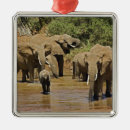 Search for african elephant ornaments Kenya