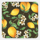 Search for lemon tree stickers Summer