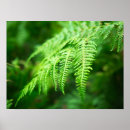 Recherche de forêt tropicale art Vert