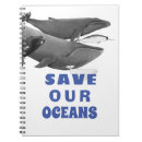 Search for environmental notebooks Illustration