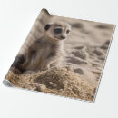Recherche de pub papier cadeau Mignon