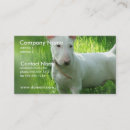 Recherche de chien pitbull cartes visite Chiens