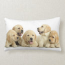 Search for labrador pillows Pet