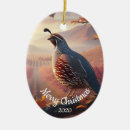 Search for quail ornaments California