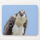 Search for ospreys mousepads Bird