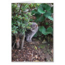 Recherche de dissimulation cartes postales Animal familier