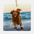 Search for dog lover ornaments Family friends