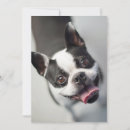 Search for bulldog thank you cards Smile