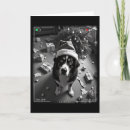 Search for bernese mountain dog cards Cat