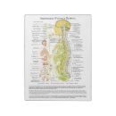 Search for medical flyers Chiropractic