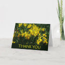 Search for daffodils thank you cards Green