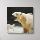 Search for global warming polar bear art Endangered species