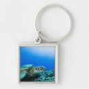 Search for resting keychains Animal