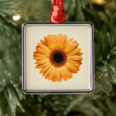 Search for gerbera daisy ornaments Bloom