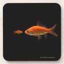 Recherche de poisson rouge dessous de verres Poissons
