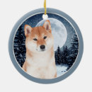 Search for shiba inu ornaments Animal