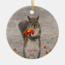 Search for specialized ornaments Photography