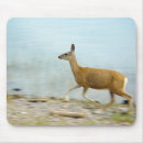Search for does mousepads Nature