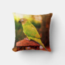 Search for green parrot pillows Animal