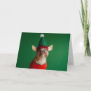 Search for novelty christmas cards Cool