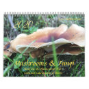 Search for fungus office supplies Woods