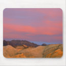 Search for deserted mousepads Environment