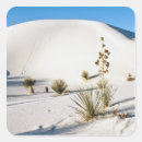 Search for yucca stickers Landscape