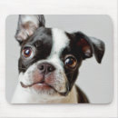 Search for full length mousepads Domestic animals
