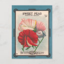 Search for vintage seed packets postcards Antique