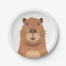 Search for capybara plates Nature