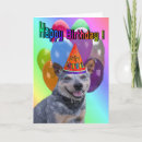 Search for blue heeler cards Pet
