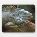 Recherche de iguane tapis souris Animal