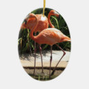 Recherche de flamants roses ornements Oiseau tropical