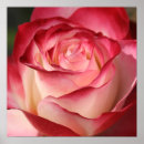 Search for spring tea posters Botanical