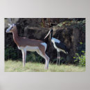 Recherche de et cigogne art Photographie
