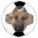Search for eye soccer balls Dog