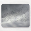 Search for flocking mousepads Birds