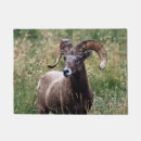 Search for sheep doormats Nature