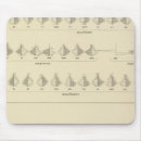 Recherche de statistiques tapis souris Graphiques